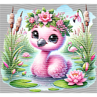 Animal Integration-DW 1312